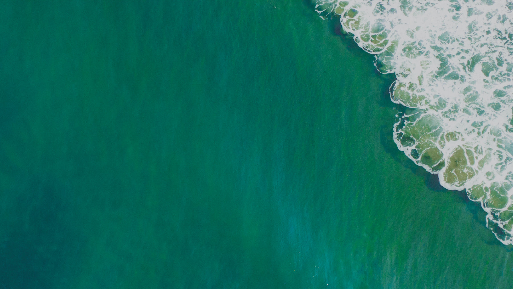 Inner Ocean